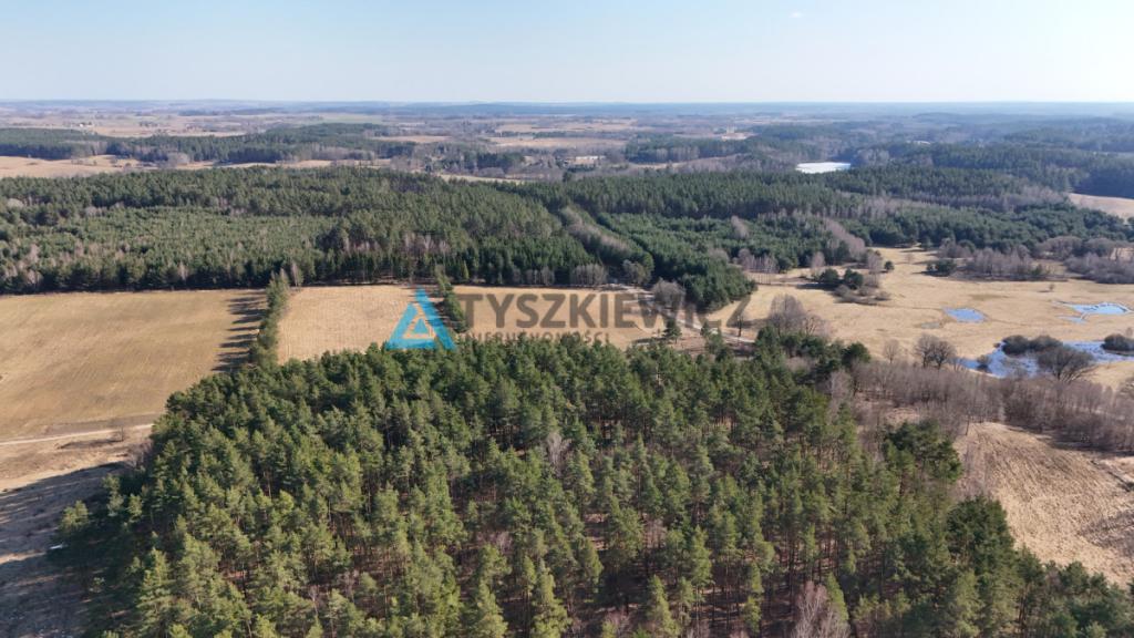 Widokowe działki na Warmii, WZ, Giławy - zdjęcie 18