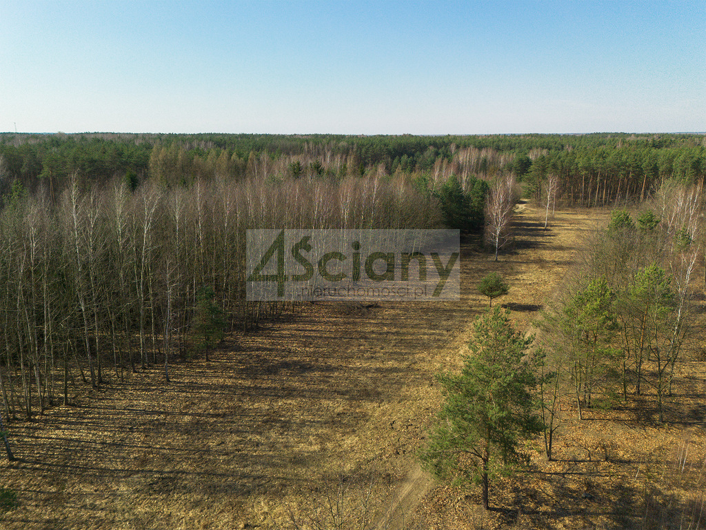 Działka budowlana 5518 m², Ojrzanów - zdjęcie 2