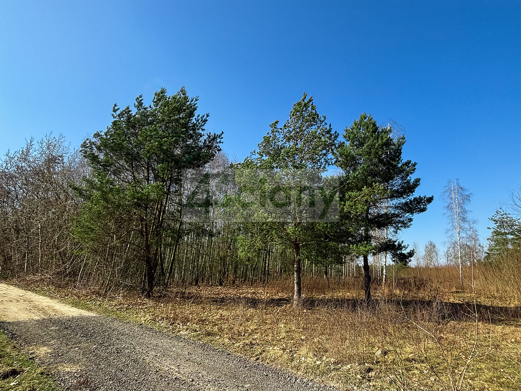 Działka budowlana 5518 m², Ojrzanów - zdjęcie 4