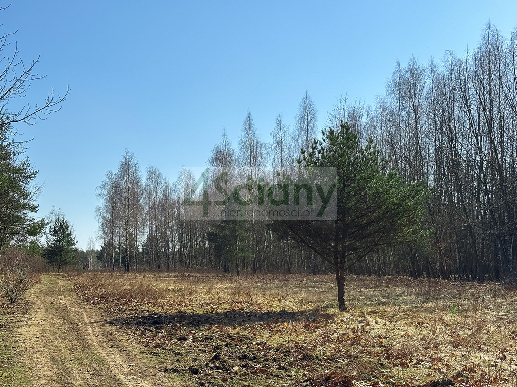 Działka budowlana 5518 m², Ojrzanów - zdjęcie 7