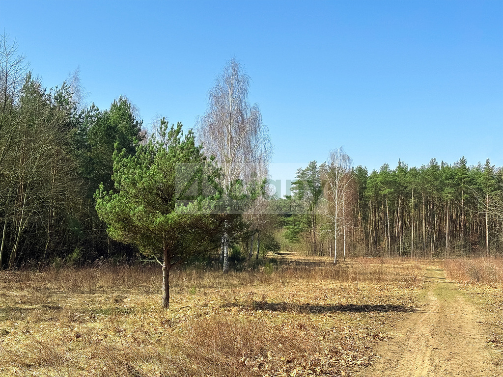 Działka budowlana 1,10 ha, Ojrzanów - zdjęcie 1