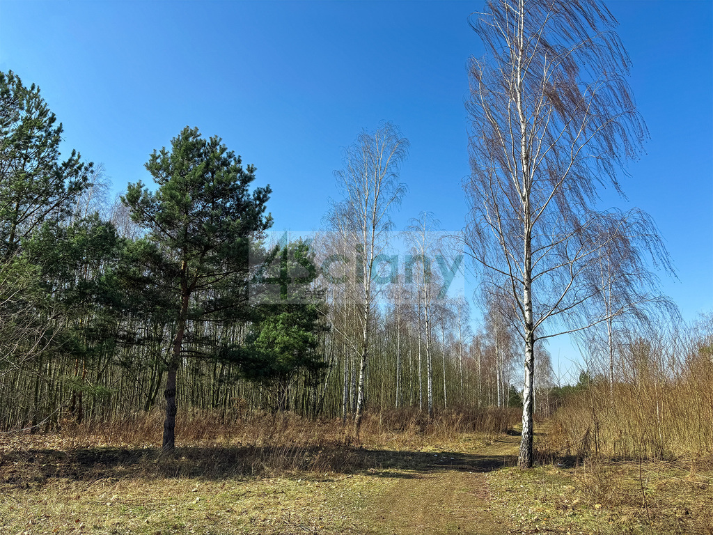 Działka budowlana 1,10 ha, Ojrzanów - zdjęcie 6
