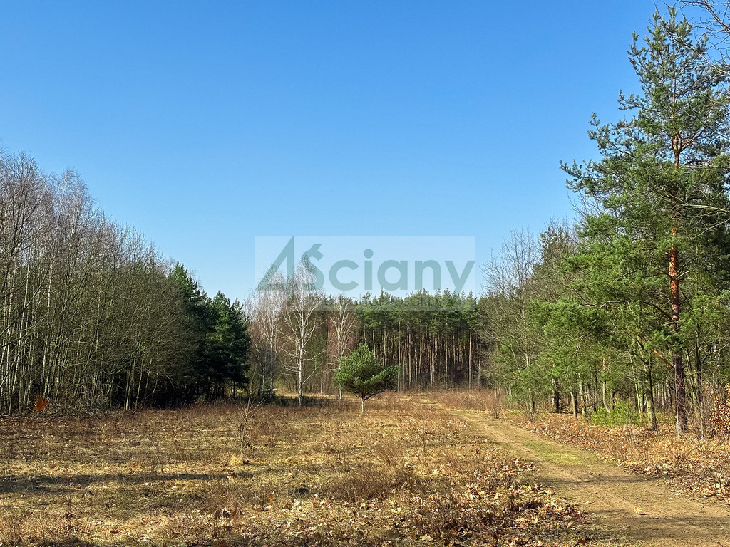 Działka budowlana 1,10 ha, Ojrzanów - zdjęcie 3