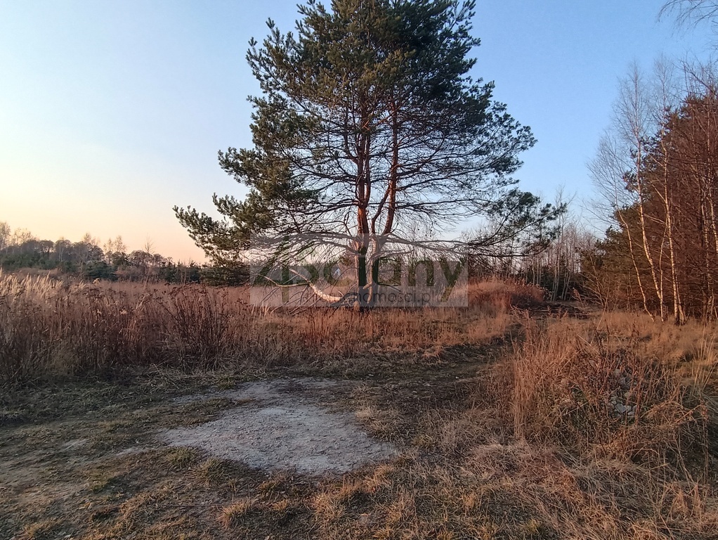 Działka budowlana 1673&nbsp;m², Żelechów - zdjęcie 4