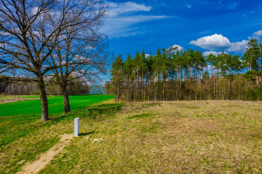 Działka budowlana Łąg Kolonia- 1135m2 - zdjęcie 2