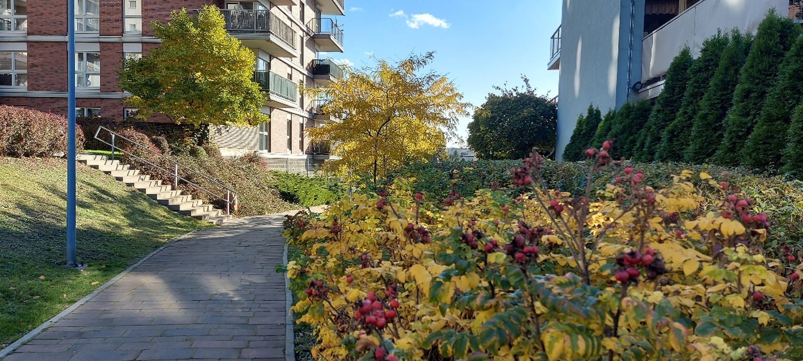 Dębowe Tarasy - 3 pokoje, narożny balkon, klimatyzacja, komórka, garaż! - zdjęcie 2