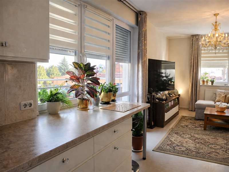 Mieszkanie 44&nbsp;m², Leszno, Poplińskiego - zdjęcie 3