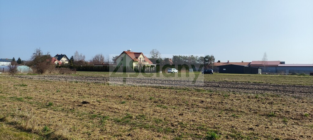 Działka budowlana 2000 m², Zaborówek - zdjęcie 1