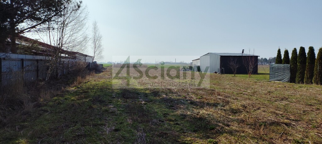 Działka budowlana 2000 m², Zaborówek - zdjęcie 2