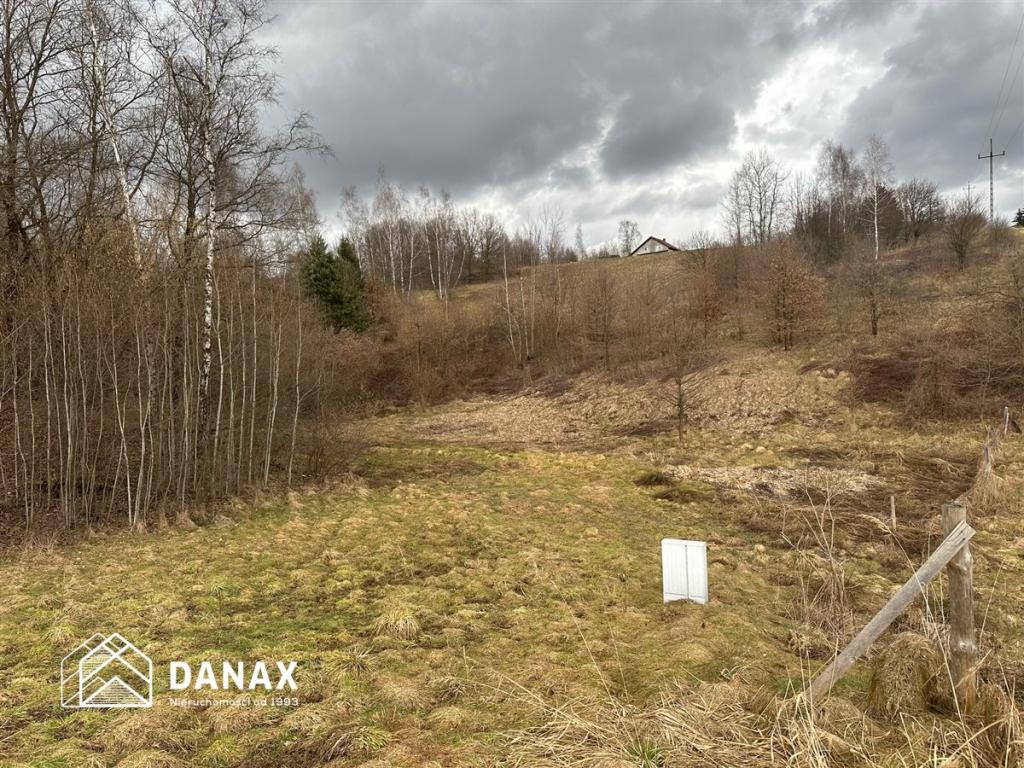 Działka rolna 1,03 ha, Zarzyce Wielkie - zdjęcie 2