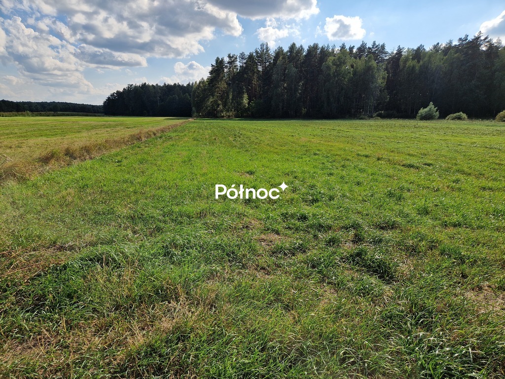 Działka rolna 3776&nbsp;m², Krynickie - zdjęcie 12