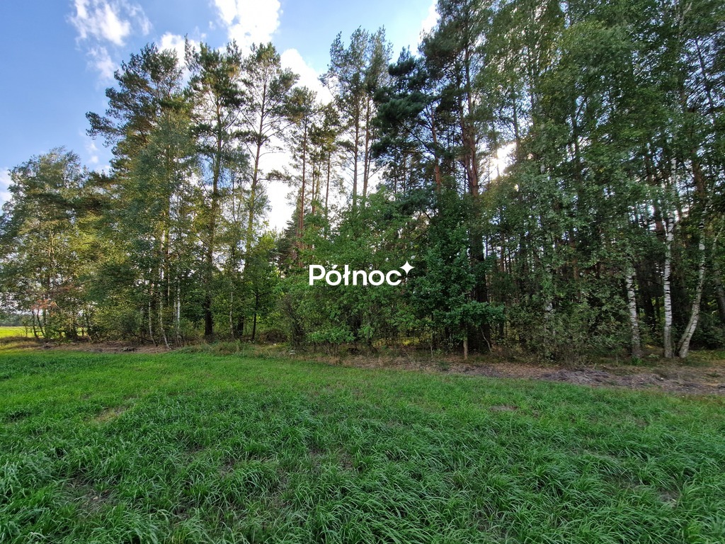Działka rolna 3776&nbsp;m², Krynickie - zdjęcie 4