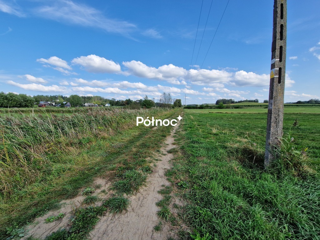 Działka rolna 3776&nbsp;m², Krynickie - zdjęcie 14