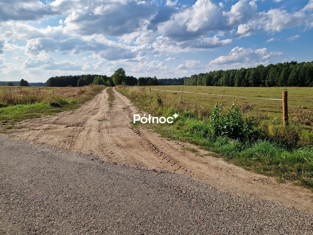 Działka rolna 3776&nbsp;m², Krynickie - zdjęcie 19