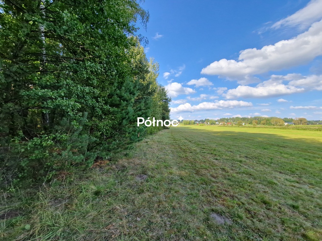Działka rolna 3776&nbsp;m², Krynickie - zdjęcie 17
