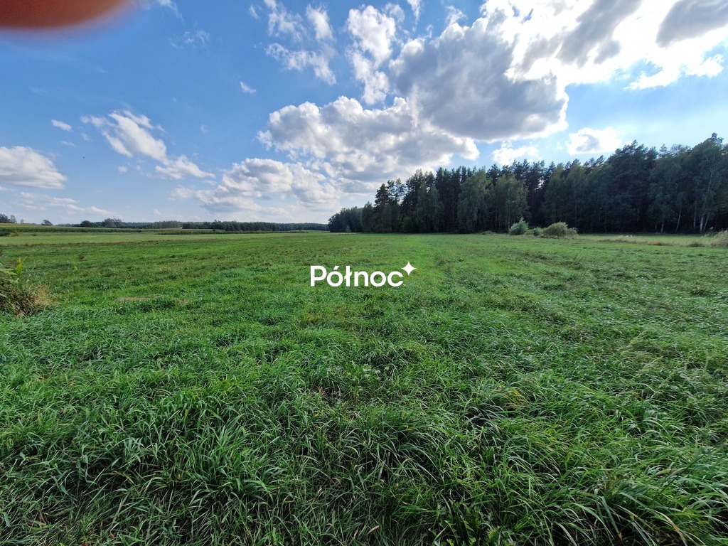 Działka rolna 3776&nbsp;m², Krynickie - zdjęcie 13
