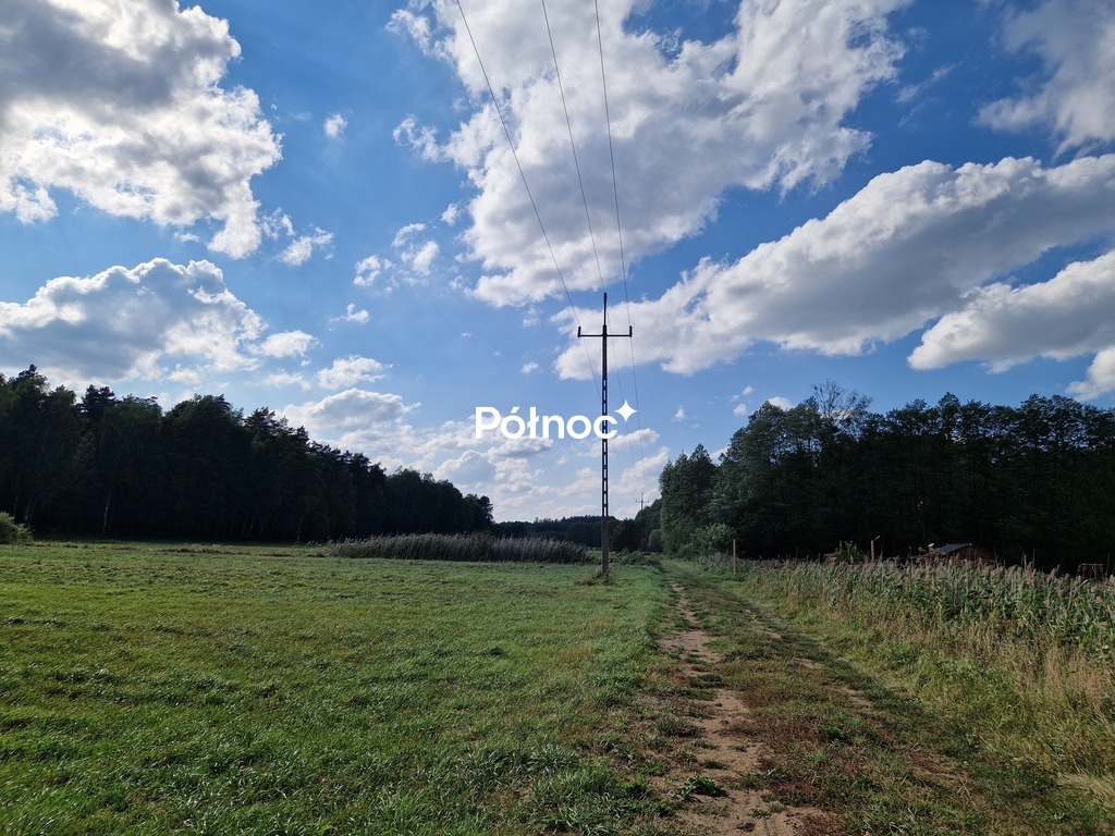 Działka rolna 3776&nbsp;m², Krynickie - zdjęcie 11