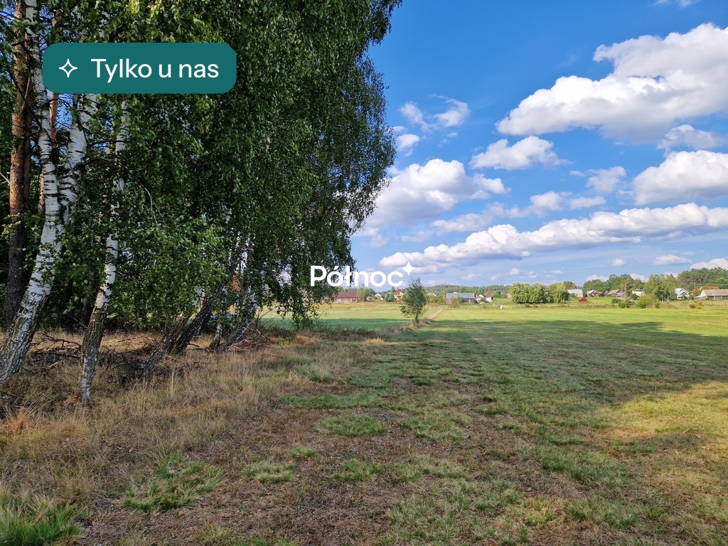 Działka rolna 3776&nbsp;m², Krynickie - zdjęcie 1
