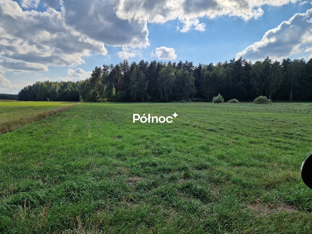 Działka rolna 3776&nbsp;m², Krynickie - zdjęcie 10