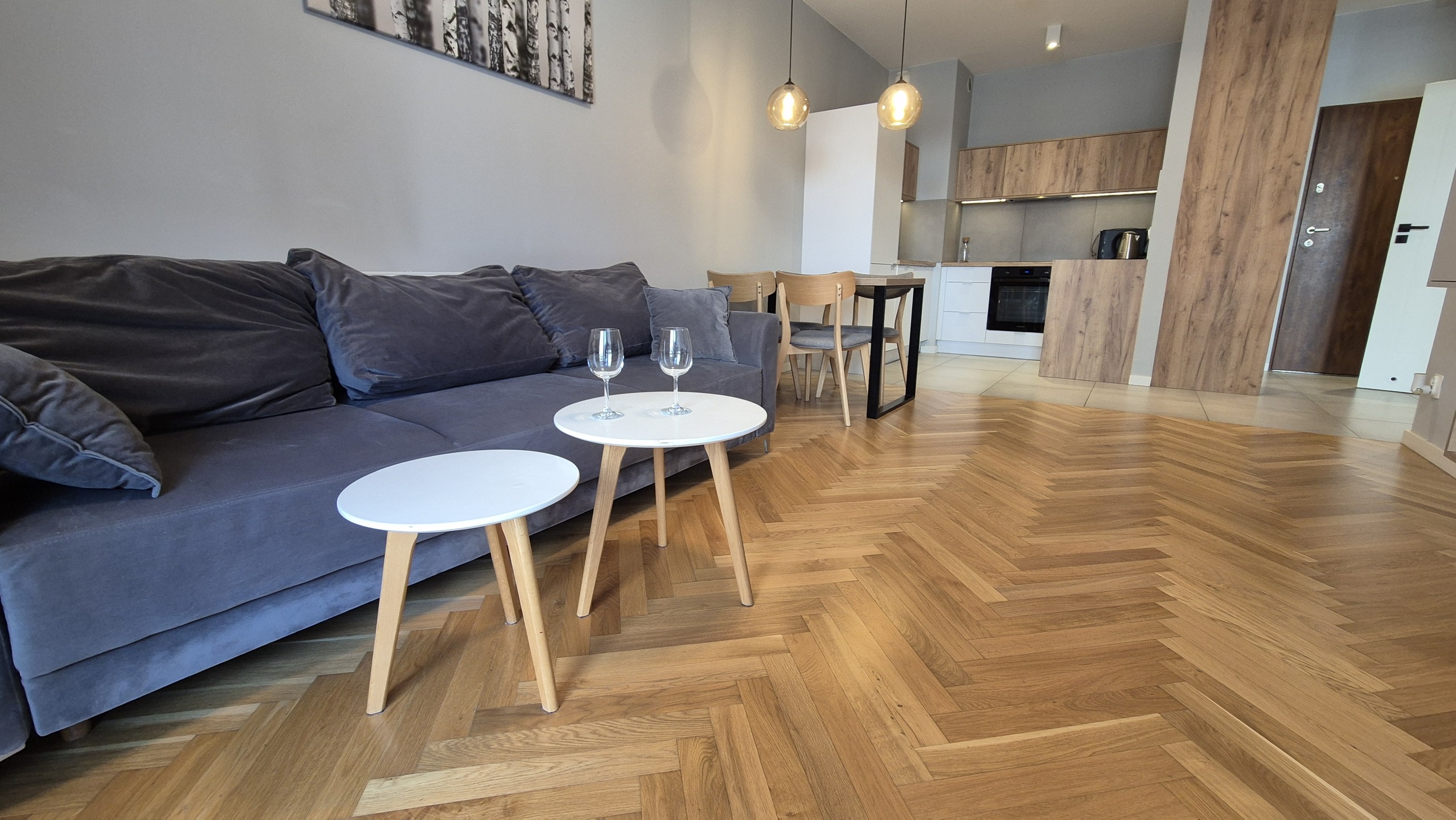 Francuska Park lux 2 pok z balkonem klimatyzacja komórka lokatorska w cenie ! - zdjęcie 9