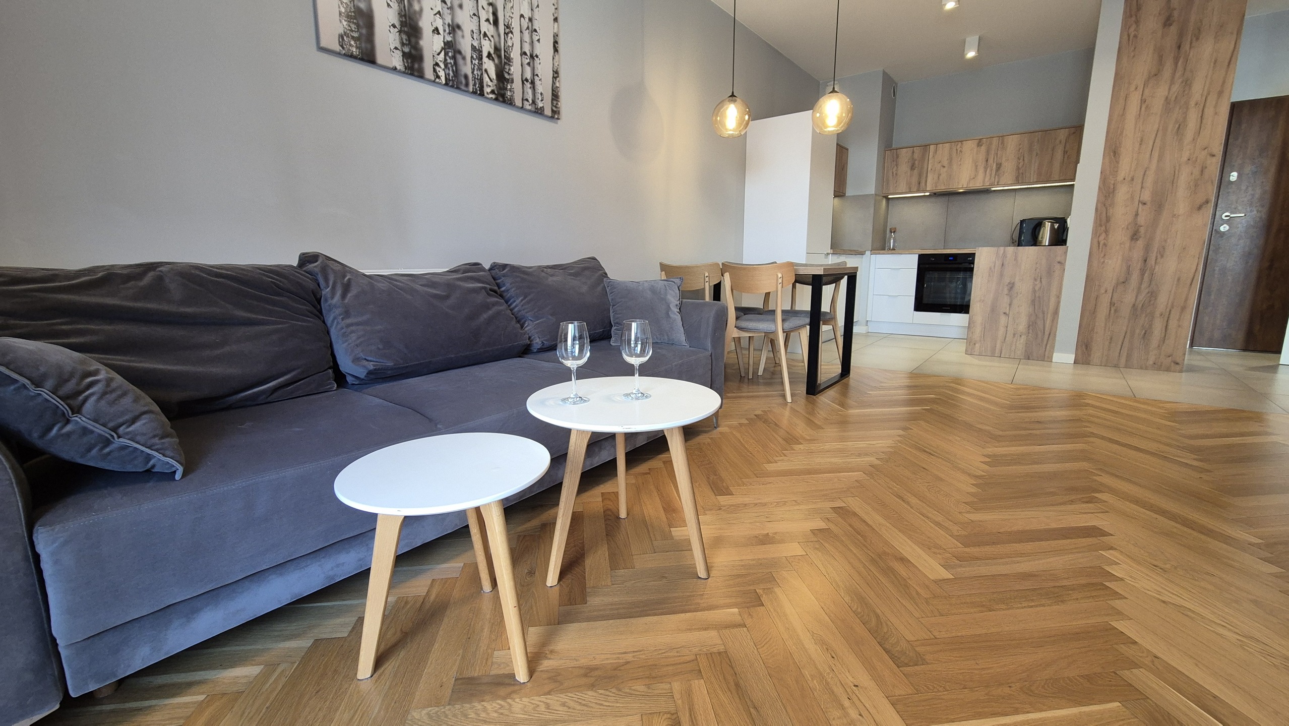 Francuska Park lux 2 pok z balkonem klimatyzacja komórka lokatorska w cenie ! - zdjęcie 8