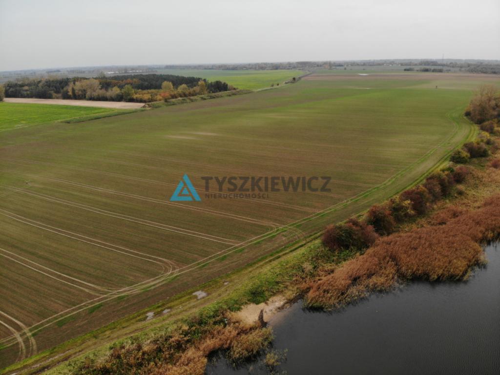 Kompleks 7 działek | Bronowo | Żuławy Wiślane - zdjęcie 3