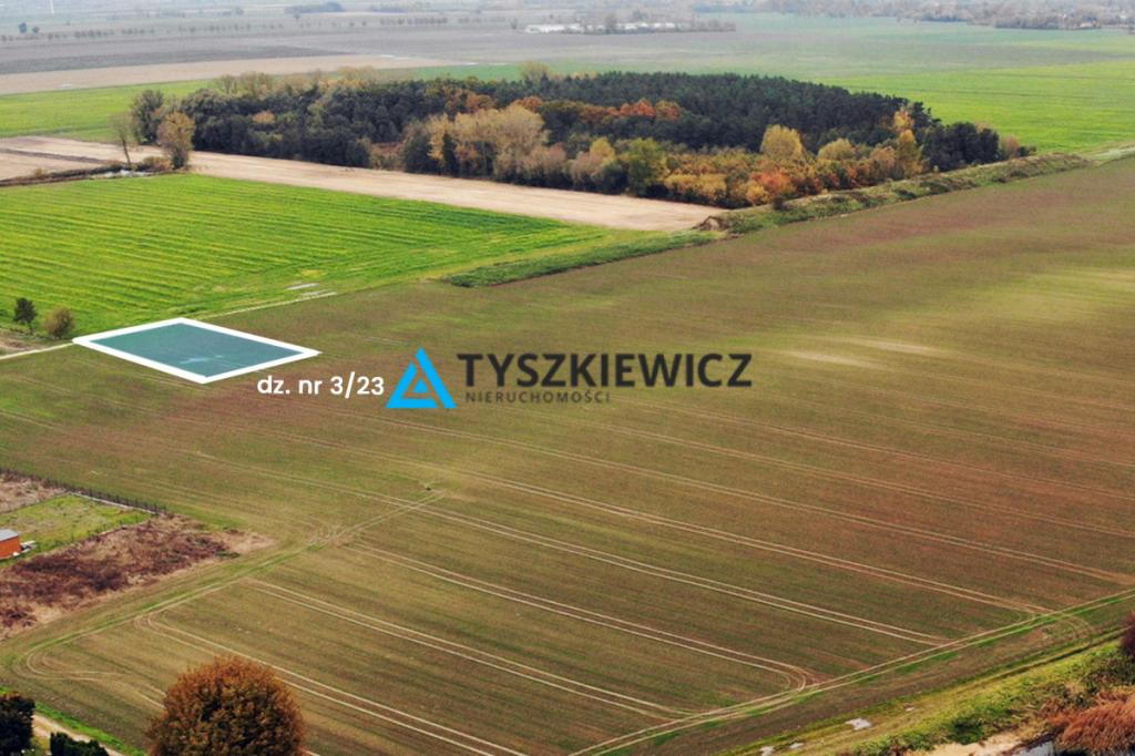 Kompleks 7 działek | Bronowo | Żuławy Wiślane - zdjęcie 1