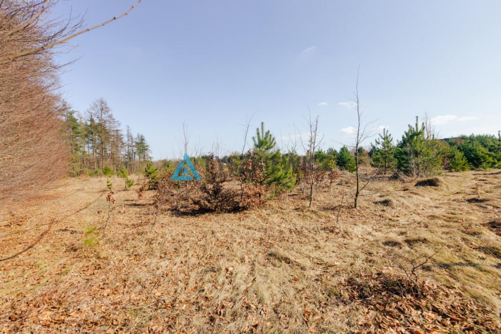 Piękna, duża działka z linią brzegową - zdjęcie 20