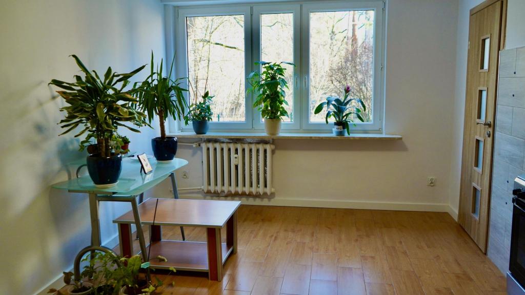 Mieszkanie 43 m², Warszawa - zdjęcie 3