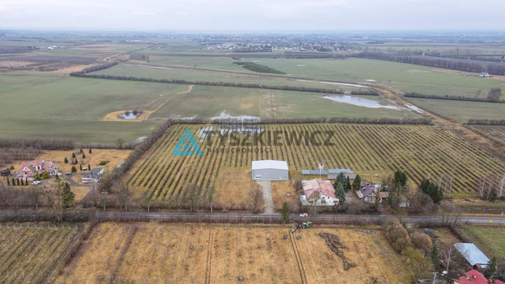 Hala magazynowa z chłodnią - zdjęcie 8
