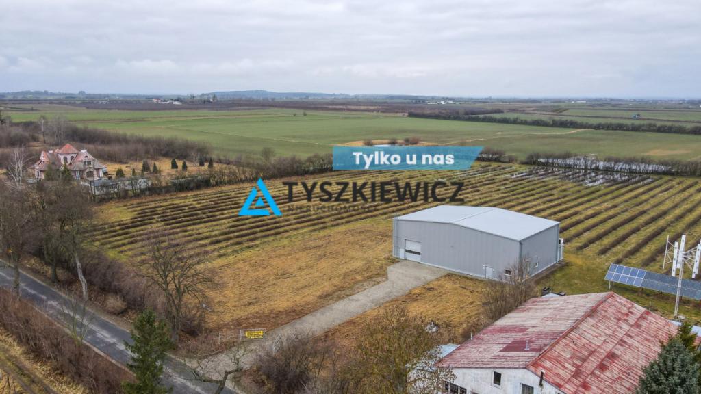 Hala magazynowa z chłodnią - zdjęcie 1
