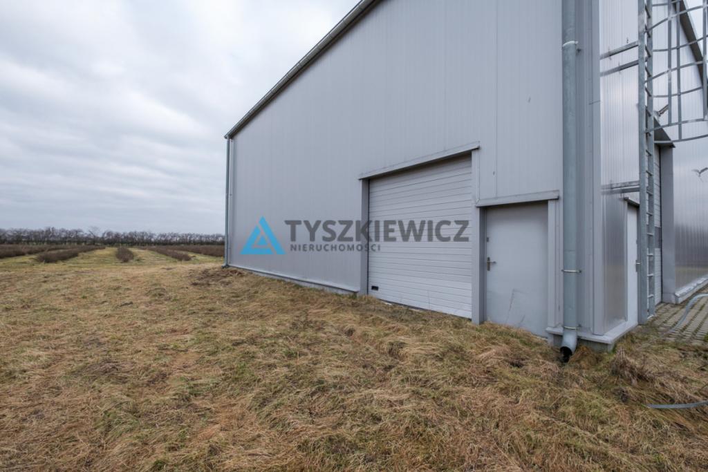 Hala magazynowa z chłodnią - zdjęcie 27