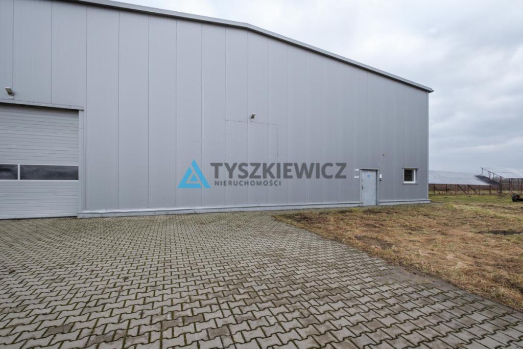 Hala magazynowa z chłodnią - zdjęcie 26