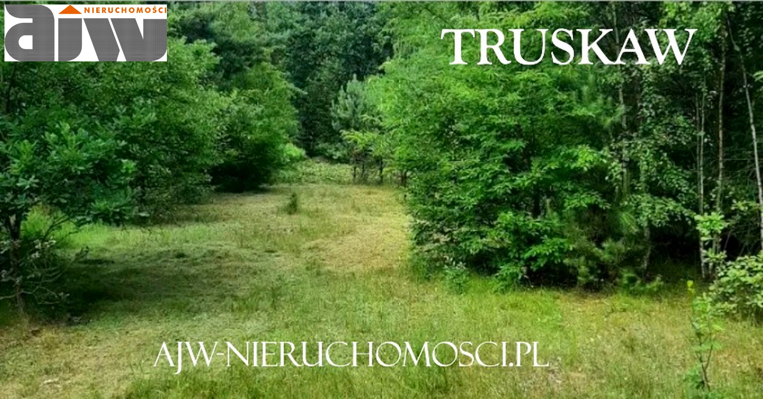 Truskaw działka w sąsiedztwie KPN - zdjęcie 1
