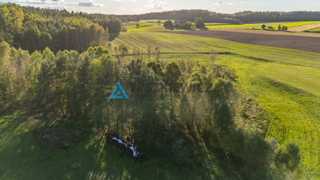 Wyjątkowa oferta działki siedliskowej w miejscowoś - zdjęcie 12