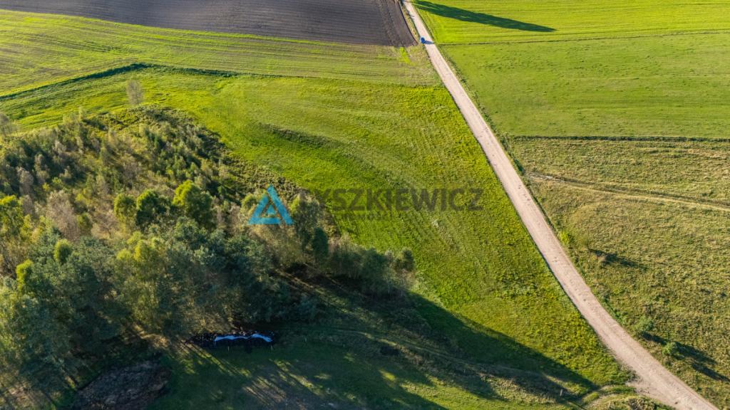 Wyjątkowa oferta działki siedliskowej w miejscowoś - zdjęcie 17