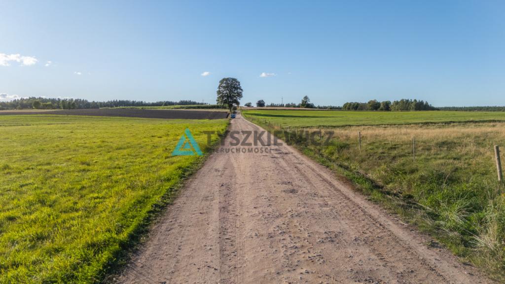 Wyjątkowa oferta działki siedliskowej w miejscowoś - zdjęcie 14