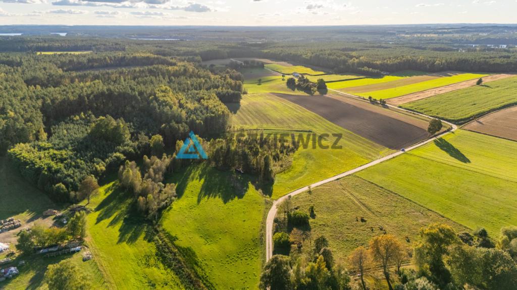 Wyjątkowa oferta działki siedliskowej w miejscowoś - zdjęcie 23