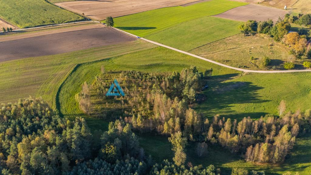 Wyjątkowa oferta działki siedliskowej w miejscowoś - zdjęcie 21