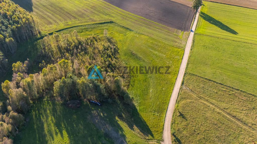Wyjątkowa oferta działki siedliskowej w miejscowoś - zdjęcie 22