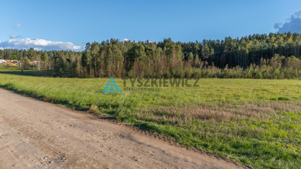 Wyjątkowa oferta działki siedliskowej w miejscowoś - zdjęcie 18