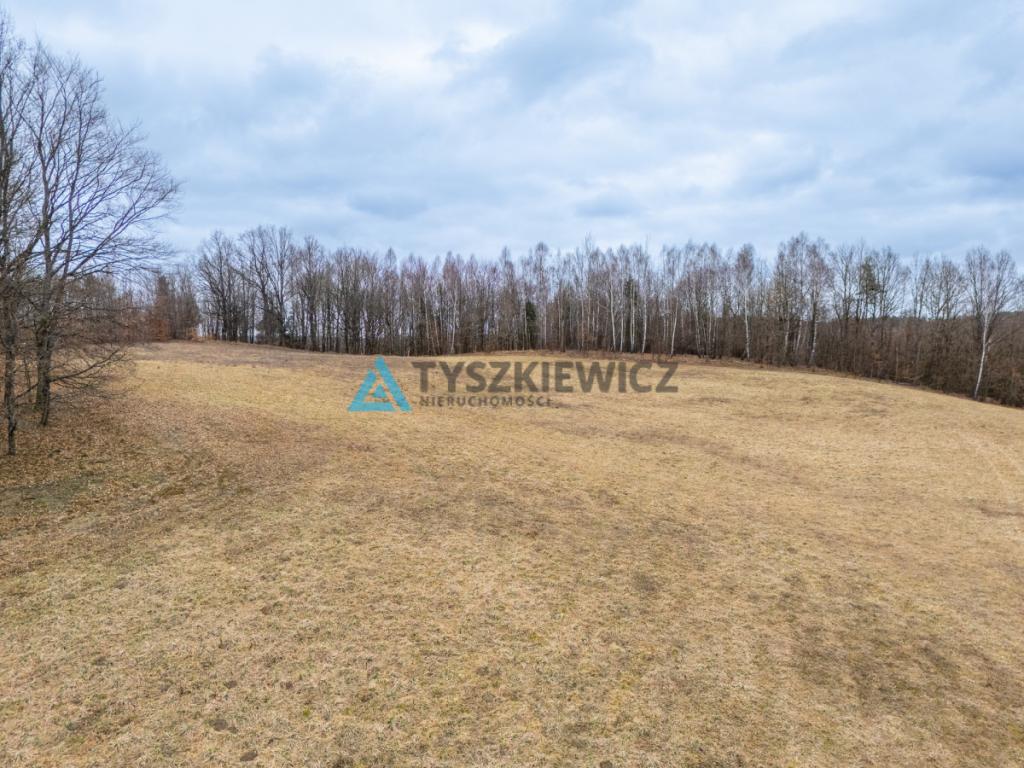 Atrakcyjna działka rolna o powierzchni 7,7072. - zdjęcie 10