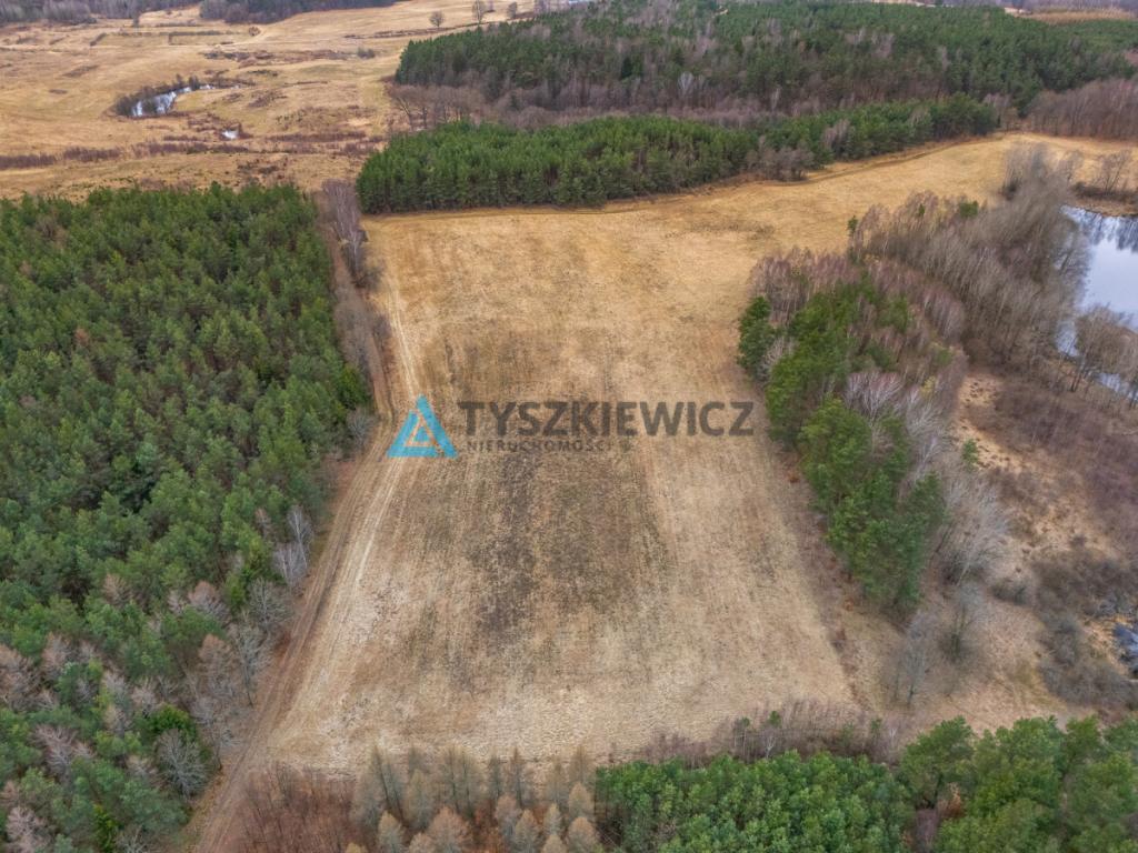 Atrakcyjna działka rolna o powierzchni 7,7072. - zdjęcie 20