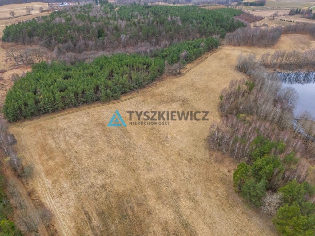 Atrakcyjna działka rolna o powierzchni 7,7072. - zdjęcie 6