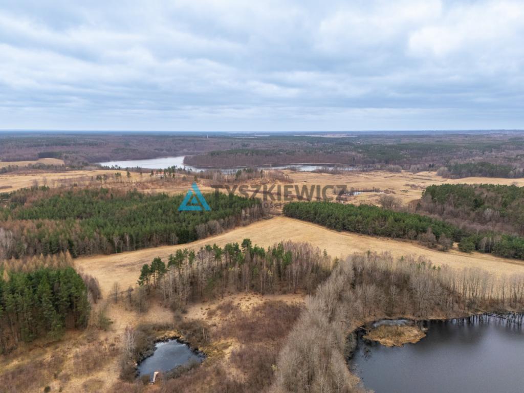 Atrakcyjna działka rolna o powierzchni 7,7072. - zdjęcie 15