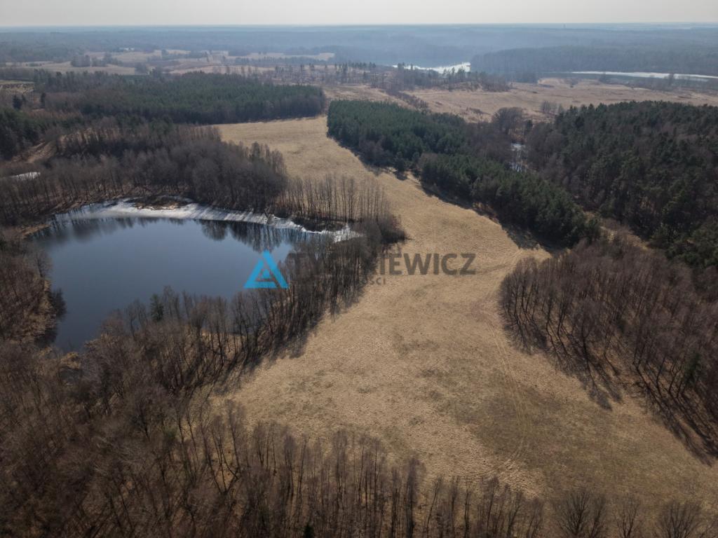 Atrakcyjna działka rolna o powierzchni 7,7072. - zdjęcie 27