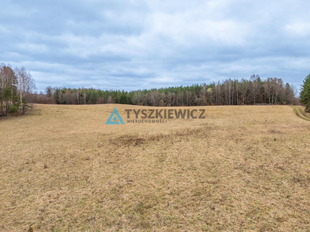 Atrakcyjna działka rolna o powierzchni 7,7072. - zdjęcie 11