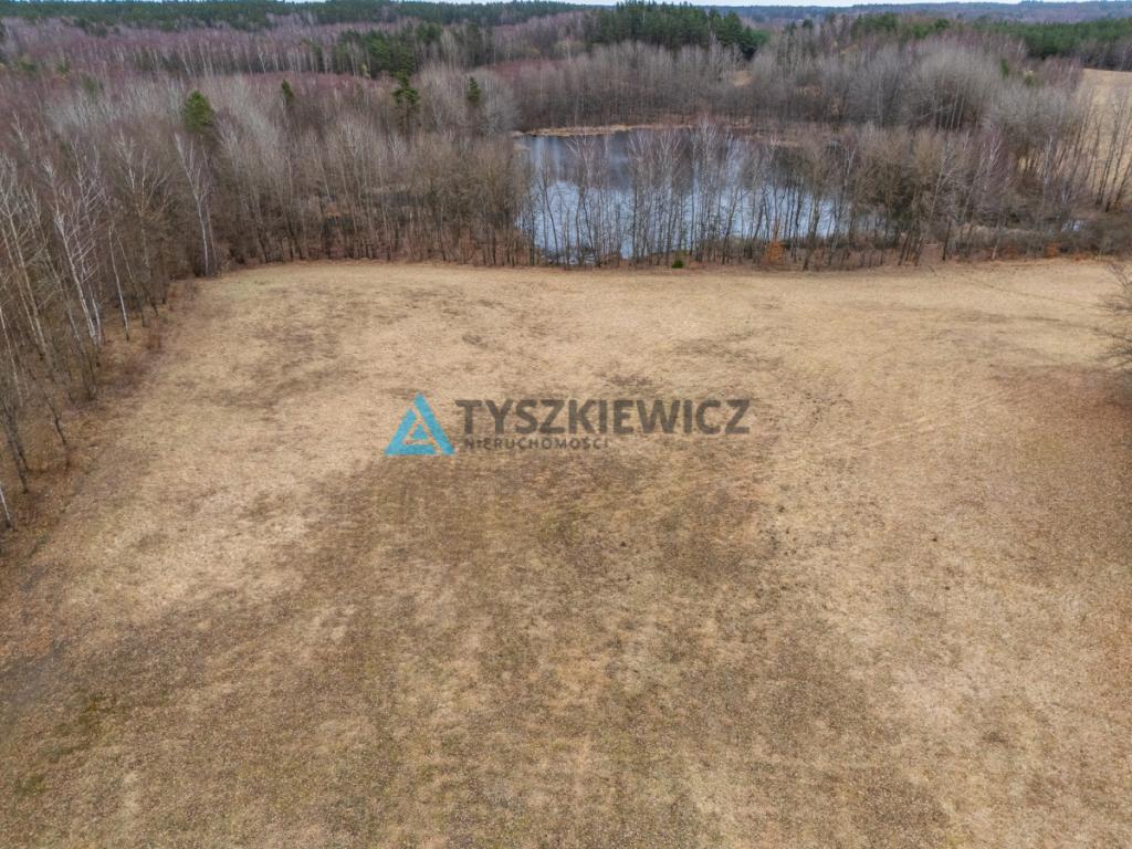 Atrakcyjna działka rolna o powierzchni 7,7072. - zdjęcie 7