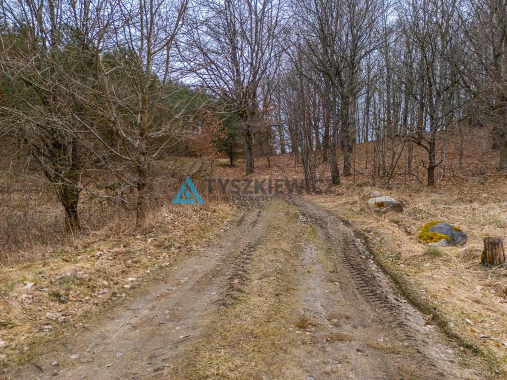 Atrakcyjna działka rolna o powierzchni 7,7072. - zdjęcie 13