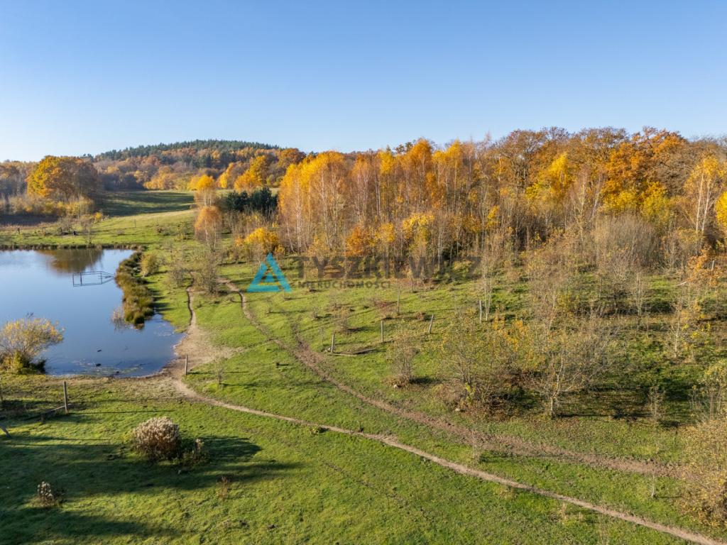 Majestatyczna działka marzeń nad rozlewiskiem! - zdjęcie 4
